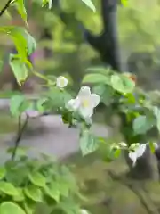 伊勢の国 四天王寺の自然