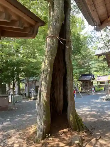淺間神社（忍野八海）(山梨県)