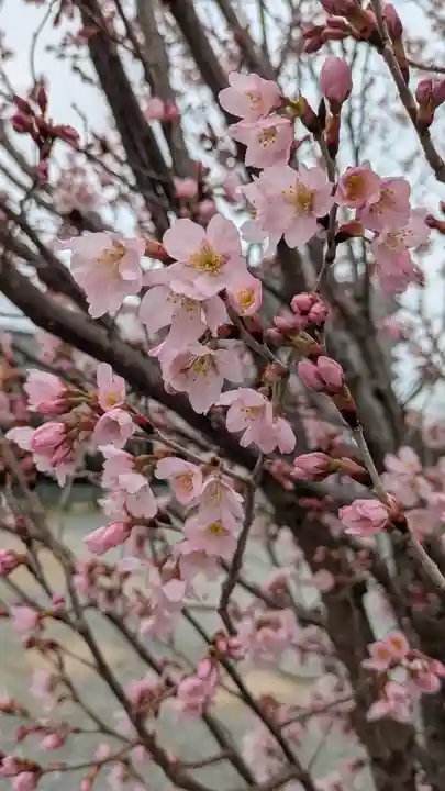 本法寺(京都府)