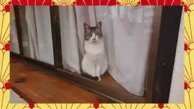 於菊稲荷神社(群馬県)