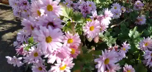 春日神社の自然