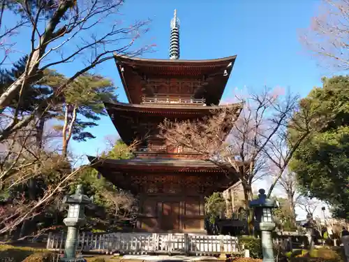 豪徳寺(東京都)