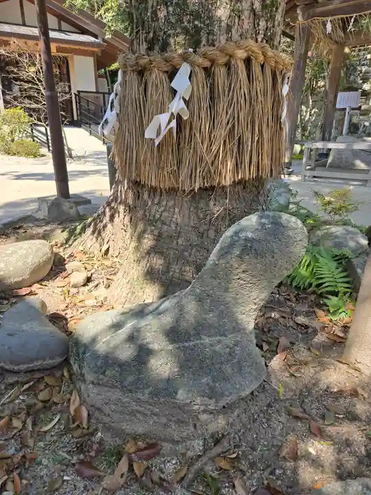 志賀海神社(福岡県)