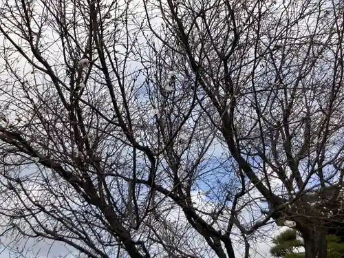 福昌寺(神奈川県)