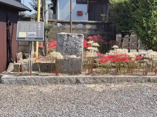 光蓮寺(愛知県)