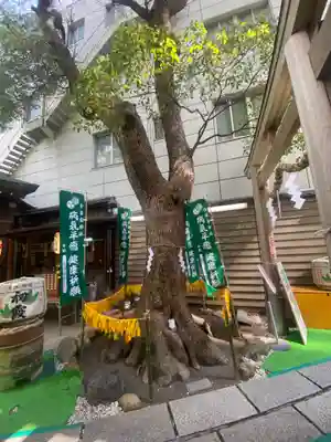 少彦名神社のその他建物