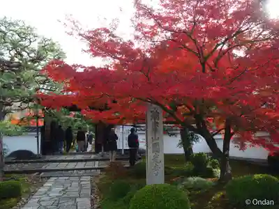 圓光寺(京都府)