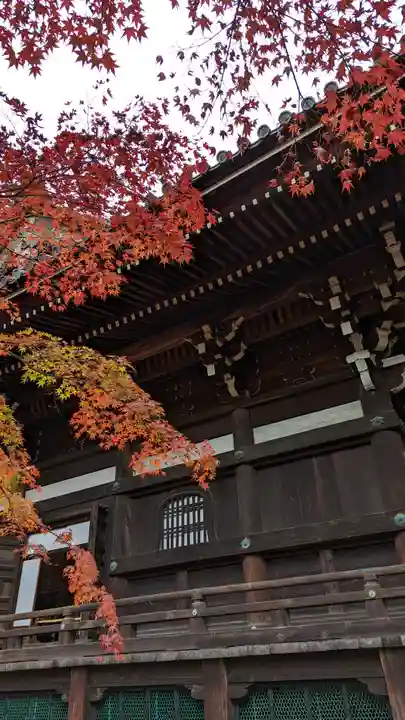 真正極楽寺(真如堂)(京都府)
