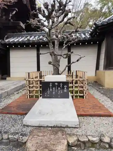 大雲院(京都府)