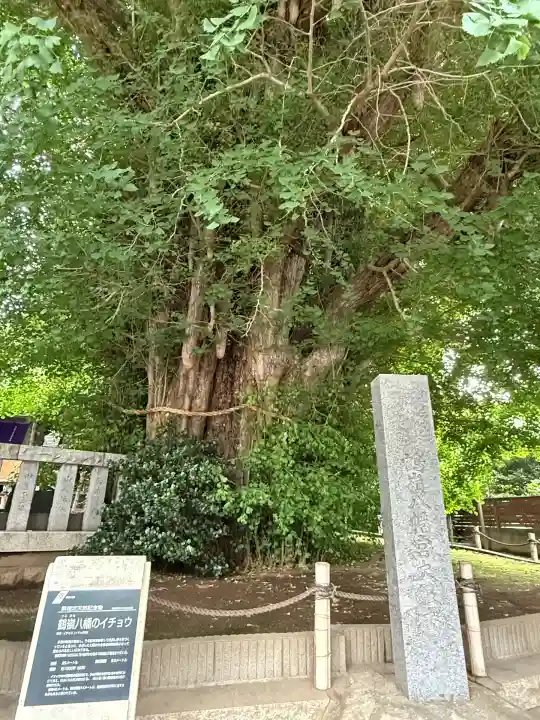 鶴嶺八幡宮(神奈川県)