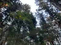 大宮温泉神社(栃木県)