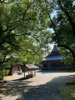 神積寺の本殿・本堂