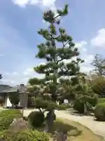 護国寺のその他建物