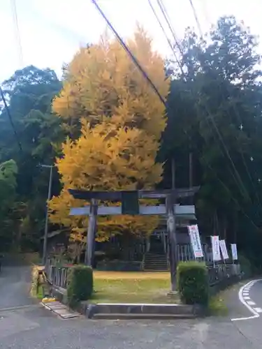 丹生神社の鳥居