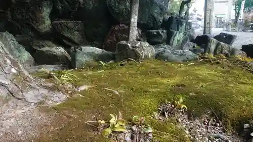 若宮神明社の自然