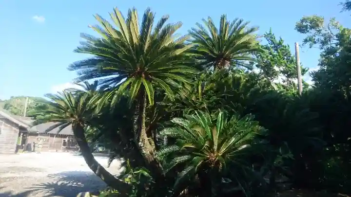 優婆夷宝明神社の自然