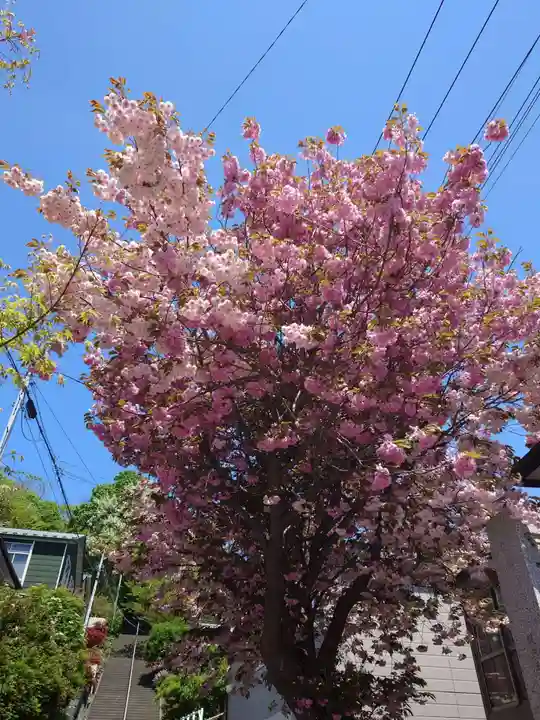 室蘭八幡宮(北海道)