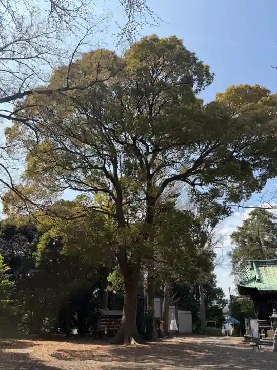 篠原八幡神社の{uncategorized: "未分類", other: "その他", undefined: "問題あり", building: "その他建物", grave: "お墓", sacred_gate: "鳥居", guardian: "狛犬", statue: "像", buddha: "仏像", history: "歴史", nature: "自然", garden: "庭園", animal: "動物", pagoda: "塔", temizu: "手水舎", mountain_gate: "山門・神門", sanctuary: "本殿・本堂", subordinate: "末社・摂社", art: "芸術", scenery: "景色", jizo: "地蔵", ema: "絵馬", goshuin: "御朱印", omikuji: "おみくじ", items: "授与品その他", amulet: "お守り", goshuincho: "御朱印帳", eats: "食事", festival: "お祭り", votive_dance: "神楽", shichigosan: "七五三参", wedding: "結婚式", experience: "体験その他", initially: "初詣", around: "周辺", anti_infection: "感染症対策"}