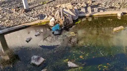 六孫王神社(京都府)