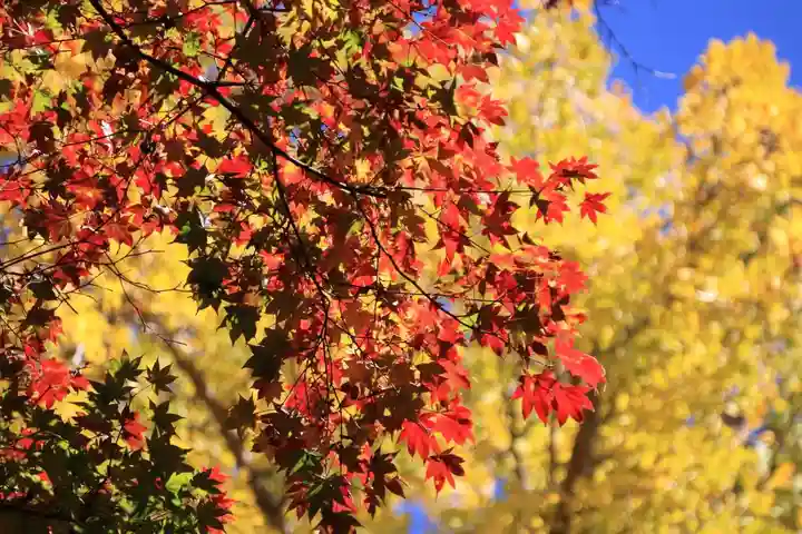 三春大神宮の自然