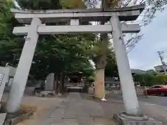 滝野川八幡神社の鳥居