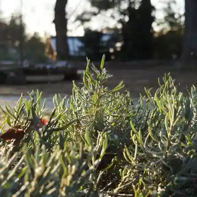 天王山 安楽寺(福井県)