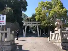 姫坂神社の鳥居