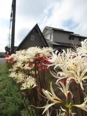 真光寺(千葉県)