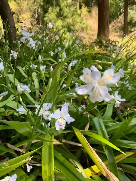 妙義神社の自然