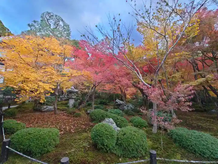 圓光寺(京都府)