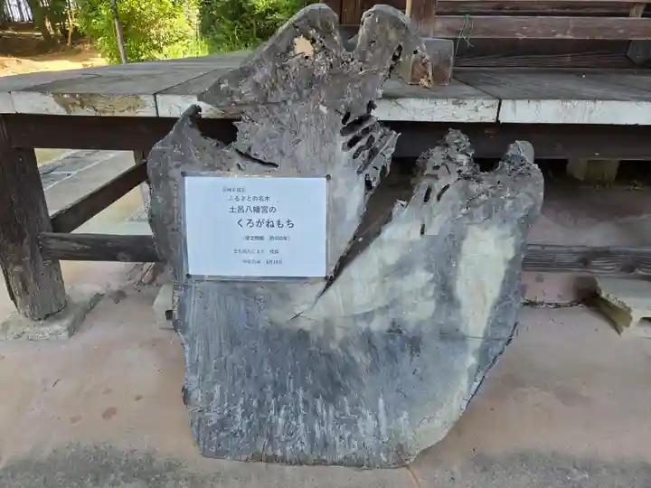 土呂八幡宮(愛知県)