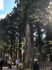 戸隠神社中社(長野県)