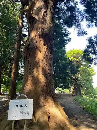 箟峯寺(宮城県)