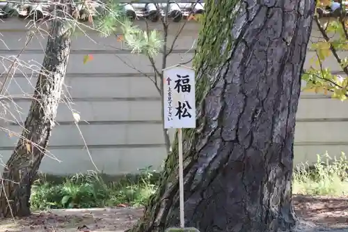 讃岐國分寺の建物その他