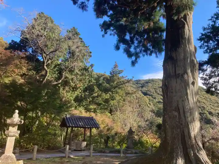 普門寺(切り絵御朱印発祥の寺)のその他建物