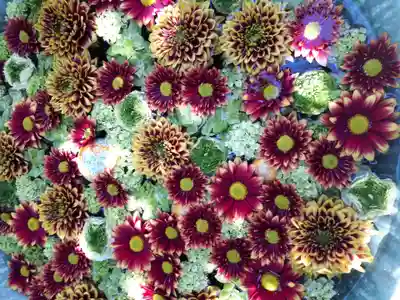 行田八幡神社の手水舎