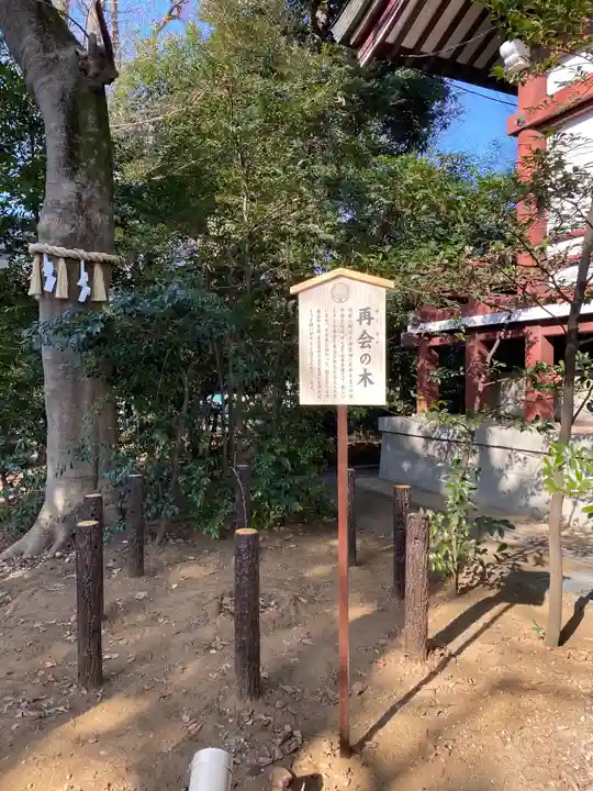 川越八幡宮の自然