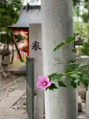 生田神社の自然