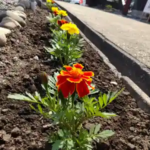 七重浜海津見神社(北海道)(2024年05月09日(木) 08時32分19秒投稿)