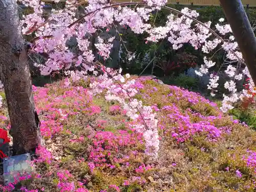 寿量山　速成寺の自然