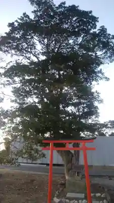 稲荷神社の鳥居