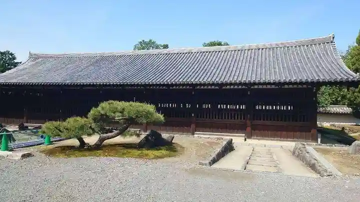 東福禅寺(東福寺)(京都府)