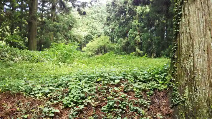 村山浅間神社の自然