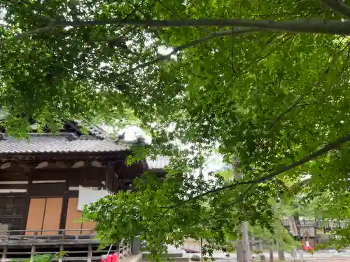 大星神社の建物その他