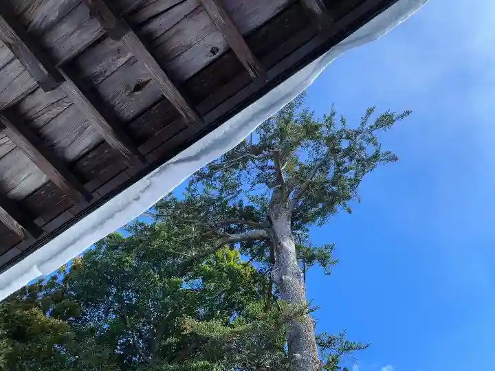 滑川神社 - 仕事と子どもの守り神の本殿・本堂