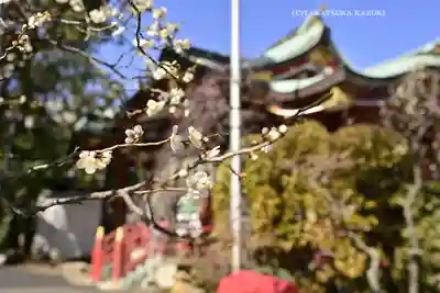 居木神社(東京都)
