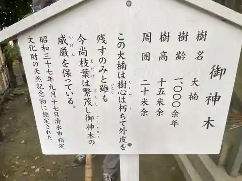 草薙神社(静岡県)