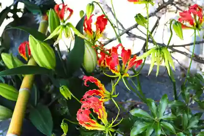 三津厳島神社(愛媛県)