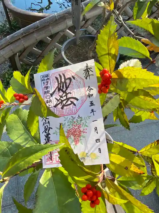 妙蓮寺の御朱印