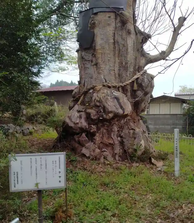 白鳥神社(宮城県)